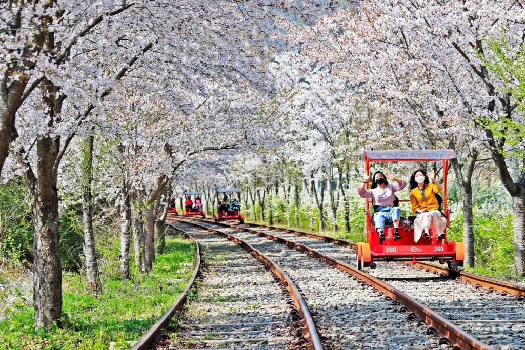 레일파크