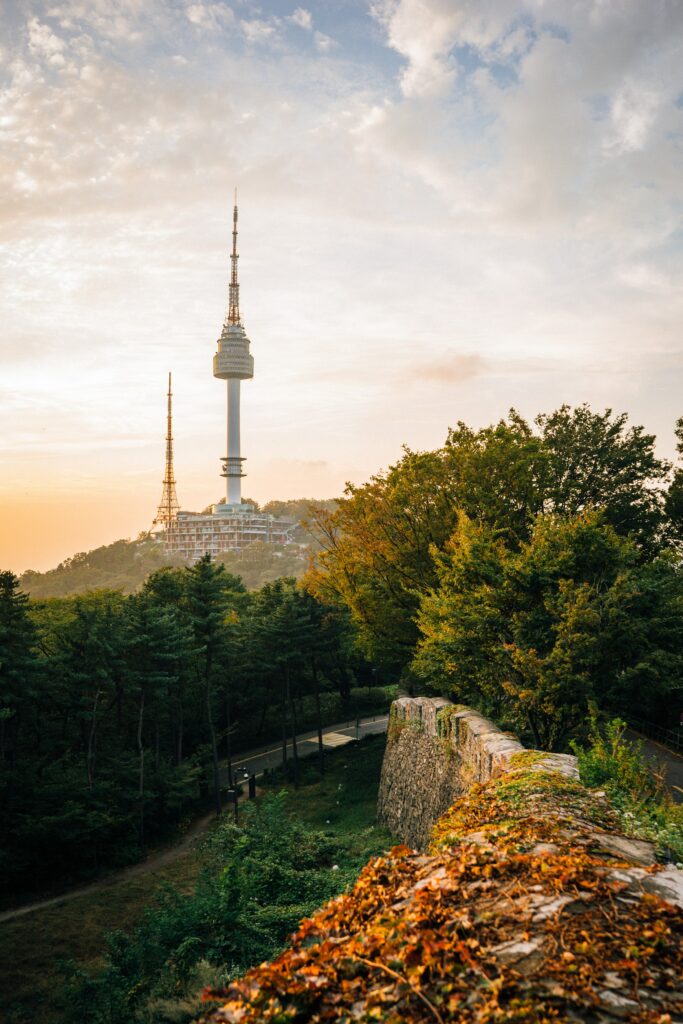 View of N Seoul Tower