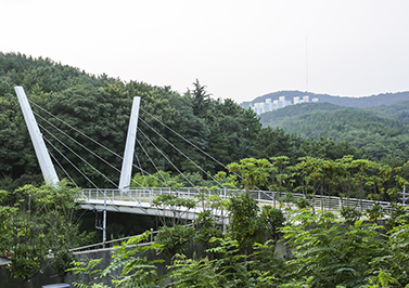 부산 시민공원, 에코브릿지와 산책길