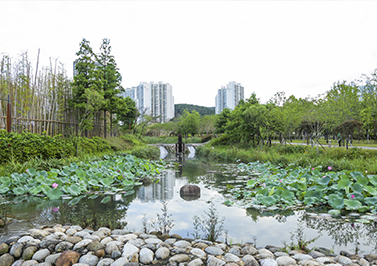 부산 시민공원, 전포천/도심백사장