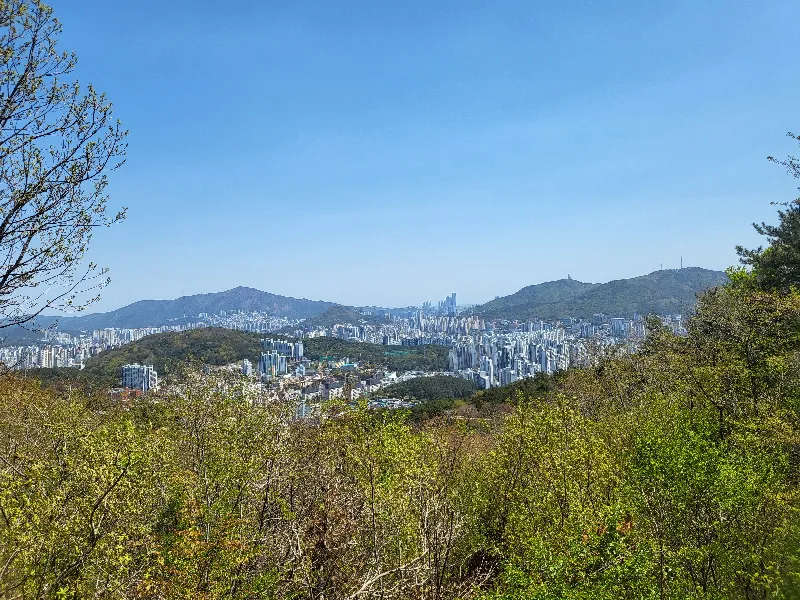 백양산 전망대