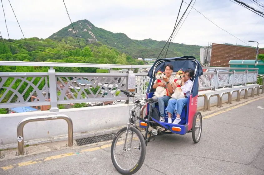 댕댕이 인력거 투어