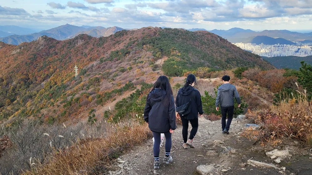 가을 백양산