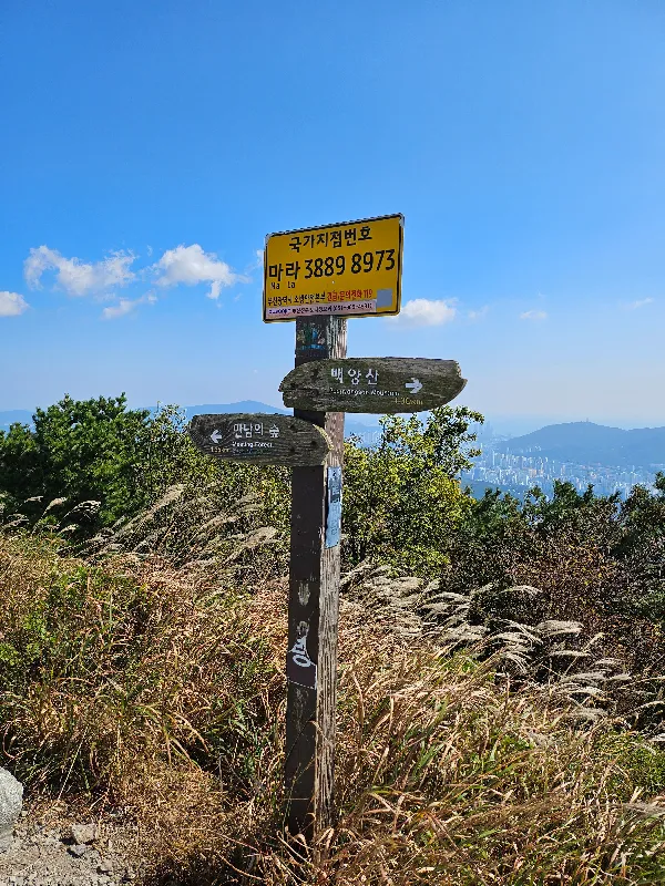안내판